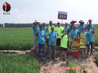 新民市-胡台镇-机匠村