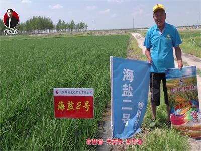 吉林省-大安市-舍力镇