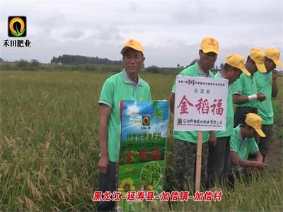 黑龙江-延寿县-加信镇-加信村